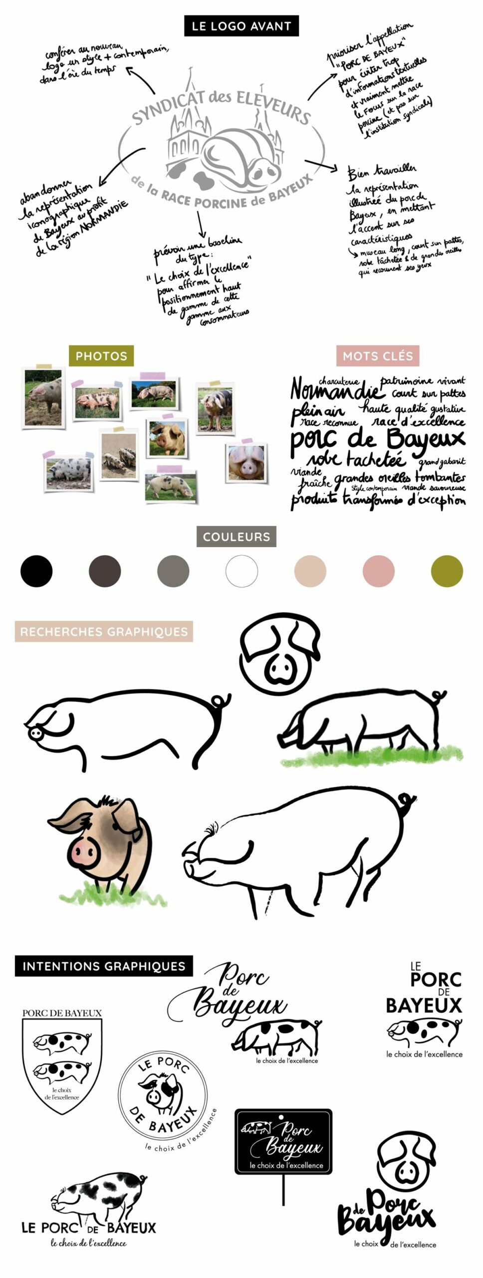 L'Embellie création graphique - Identité visuelle du syndicat des éleveurs de la race porcine de Bayeux